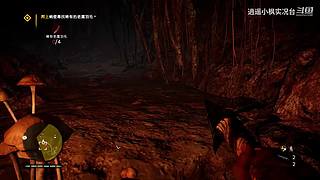 【逍遥小枫】各种好玩的《独立游戏》实况！