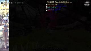 【锤子服】Gestalt~DN之旅