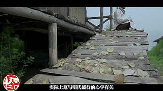 讲点怪口小历史