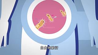 【所长来了】打开宇宙的未知