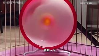 川同学带你深入了解DNF故事