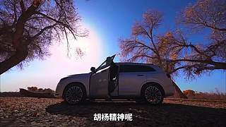 白话汽车的直播间