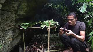 东南亚丛林生活实录