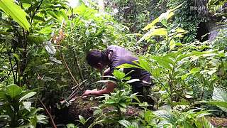 东南亚丛林生活实录