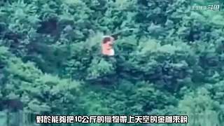 王生怪谈奇闻怪事