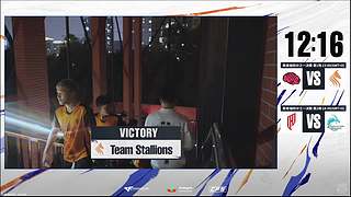 世界赛白鲨加油