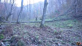 来来嗨嗨嗨
来来来