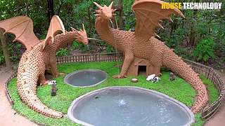 荒野动物建筑师的直播间