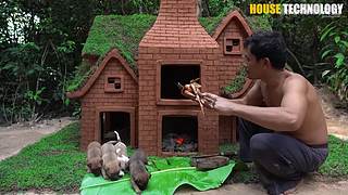 荒野动物建筑师的直播间