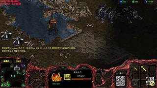 暴风虫族Ameba教你玩转星际争霸I