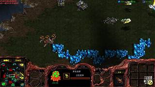 暴风虫族Ameba教你玩转星际争霸I