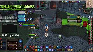 V法-全职业PVP上分(国美欧亚）