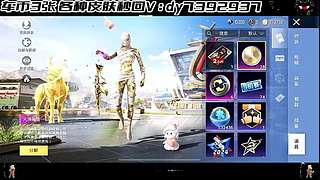 【购买入口车币返厂皮肤