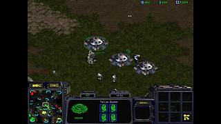 诸葛酒神曲的直播间