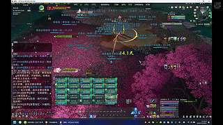 【难民灯灯】武学助手副本扫荡中