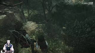 KJ解说的直播间