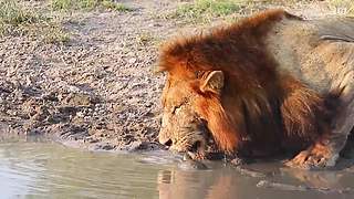 王生怪谈奇闻怪事