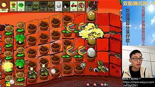 β版植物大战僵尸