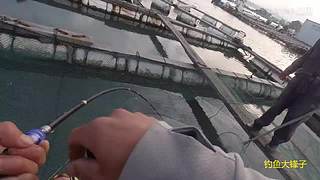 感谢钓友关注，每天分享鱼乐