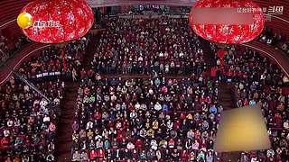 UP主最新视频合集！