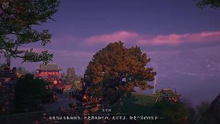 萌新主播，球关注