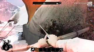 全网最强没有之一 10606940