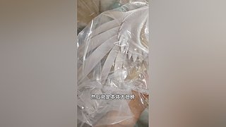 带你一起逛秋叶原