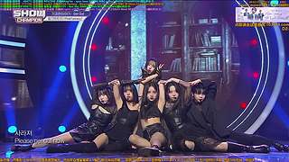 赵光旭滇菌萌猫