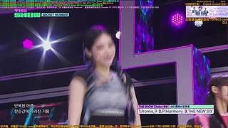 赵光旭滇菌萌猫