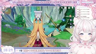 猫猫下午五点来!