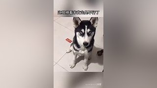 星球大战前线2玩玩看。