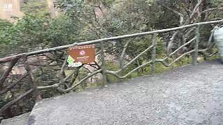 三清山｜揽胜遍五岳 绝景在三清