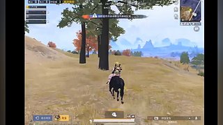 用户4330992446的直播间