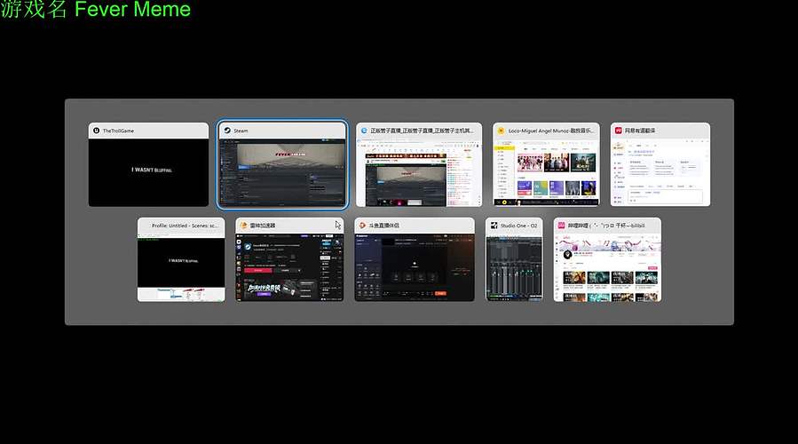 【管子】Fever M 另类高能搞笑主播