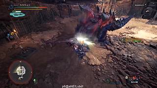 猫五度的四个神选气息