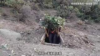 放空了一起待会吧