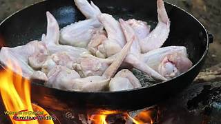 欢乐猴群纪录片