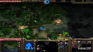 魔兽达尔文进化岛直播间