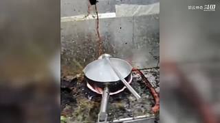 郭云神奇的神奇解说