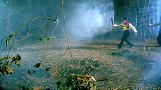 【恐怖电影】 林正英 僵尸 鬼片 经典