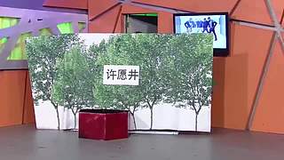 龙视爱笑会议室的直播间