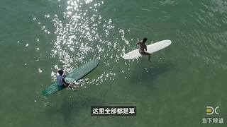 当下频道的当下世界