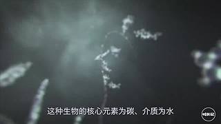 带你领略宇宙星海—碎片记