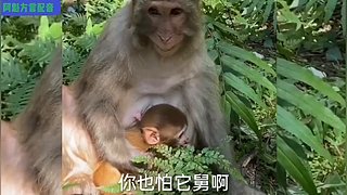 阿魁方言配音的直播间