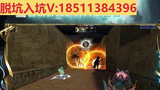 脱坑/入坑/极品号