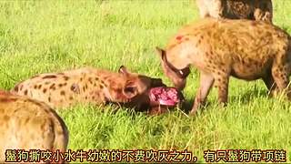 带你了解你不知道知识