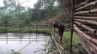 东南亚丛林生活实录