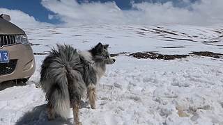 改装房车自驾游