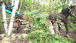 来来嗨嗨嗨
来来来