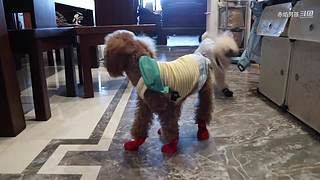 网红赤焰男孩来了！都是热知识